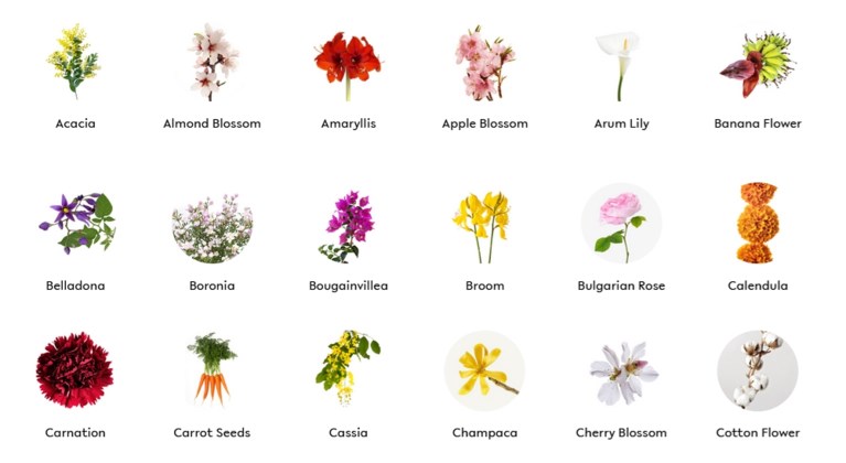 Deze website helpt je om een nieuw parfum te kiezen