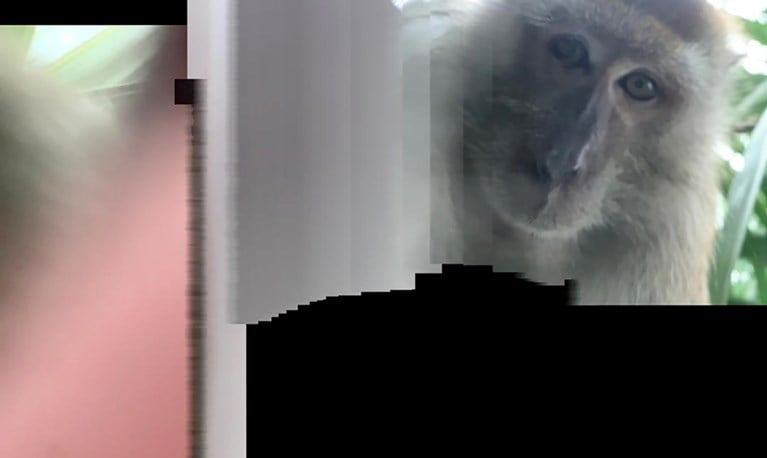 Student vindt gestolen gsm terug, maar kan zijn ogen niet geloven als hij achtergelaten foto’s van de dader ziet
