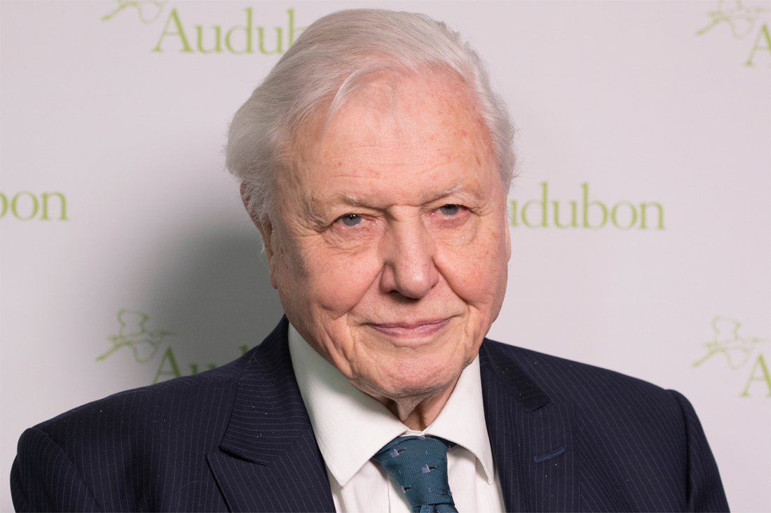 David Attenborough is suddenly on Instagram and immediately has a …