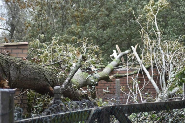 Veel schade na doortocht storm Odette in de Westhoek: bijna 400 oproepen voor brandweer