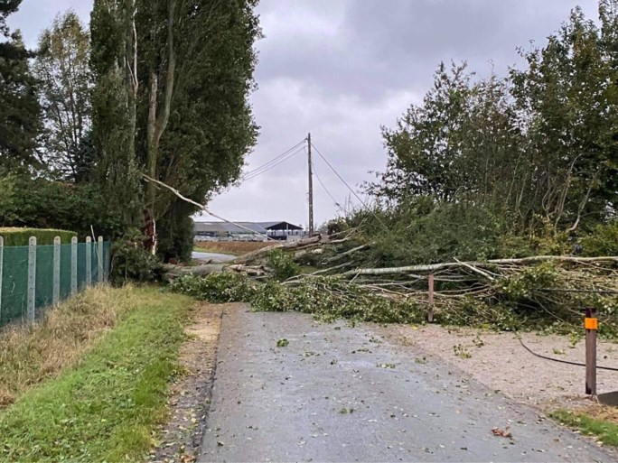Storm Odette gaat tekeer: arbeider zwaargewond na instorten muur, brandweerman komt onder boom terecht, strandcabines vliegen in het rond
