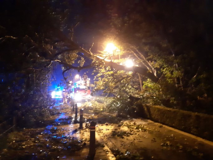 Storm Odette gaat tekeer: arbeider zwaargewond na instorten muur, brandweerman komt onder boom terecht, strandcabines vliegen in het rond