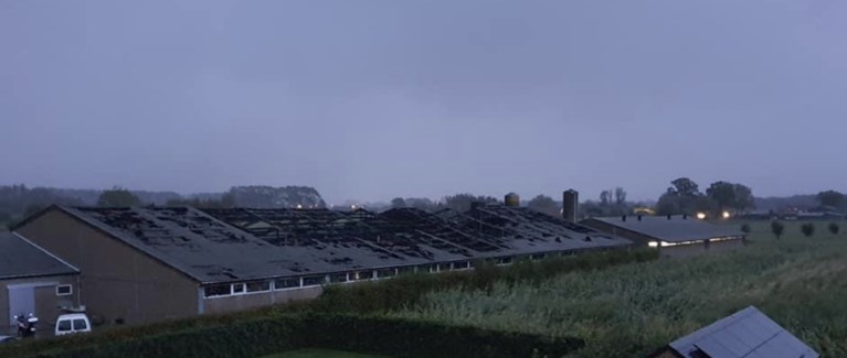 Duizend biggen en honderd zeugen sterven bij zware brand in varkensstal