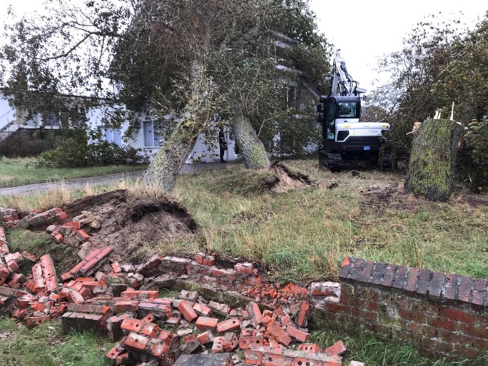 Drie grote bomen komen op villa terecht in Oostduinkerke