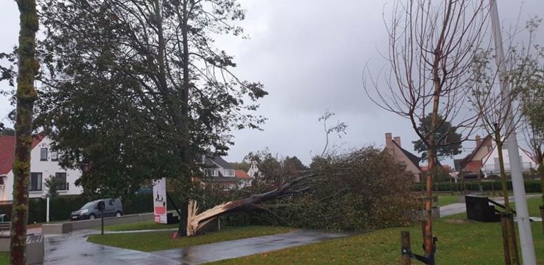 Storm Odette gaat tekeer: arbeider zwaargewond na instorten muur, brandweerman komt onder boom terecht, strandcabines vliegen in het rond