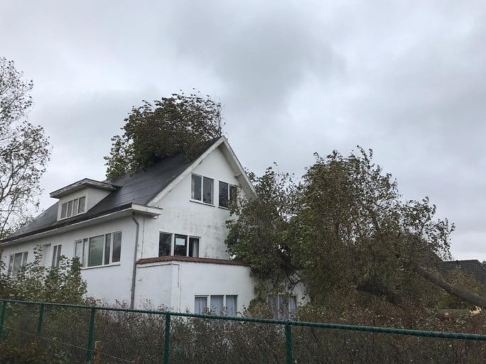 Drie grote bomen komen op villa terecht in Oostduinkerke