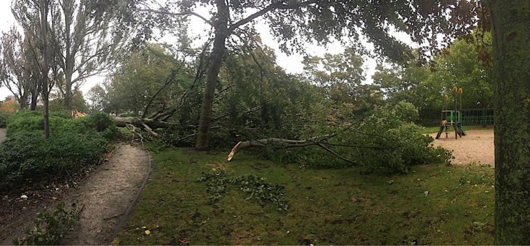 Storm Odette houdt lelijk huis in Oostende