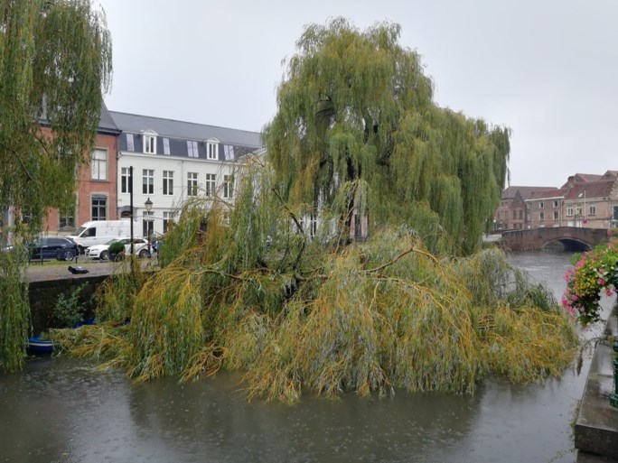 Gentse brandweer rukt bijna vierhonderd keer uit: straat wordt zwembad, bomen vallen om