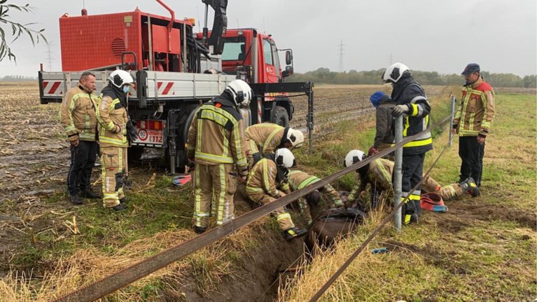Brandweer zet zwaar materieel in om paard uit greppel te redden