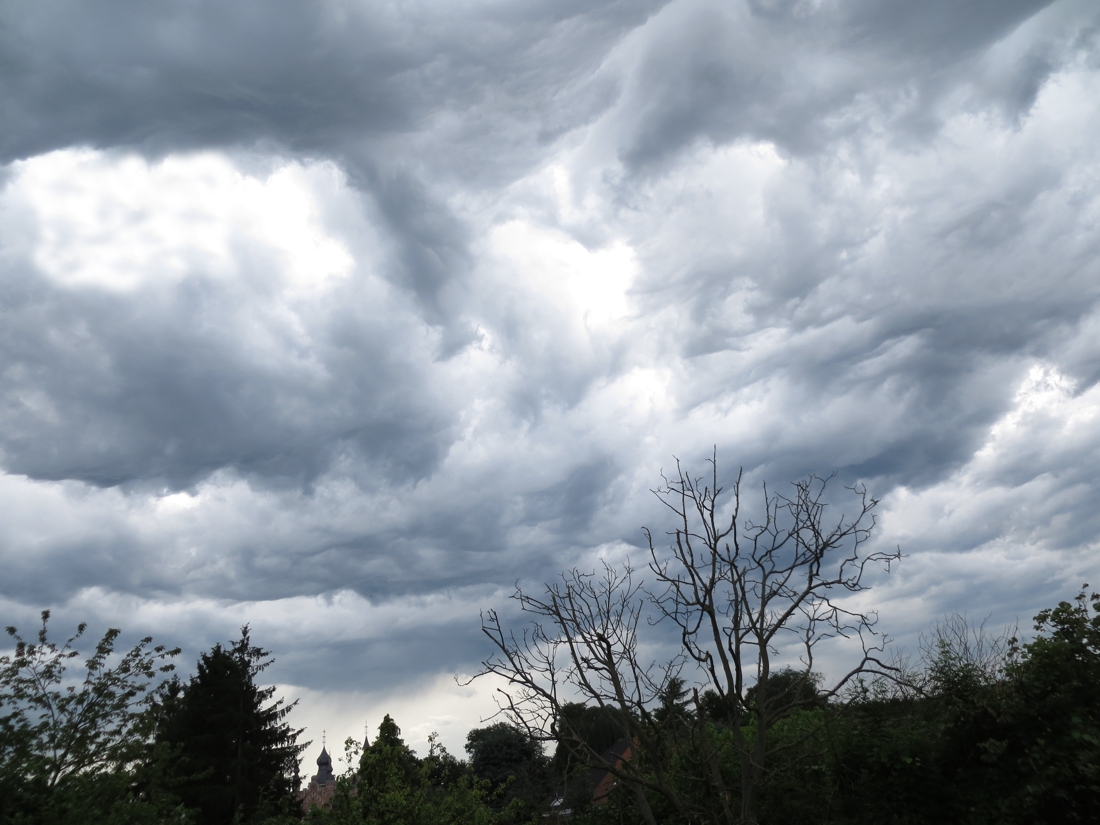 Code yellow in Flanders from noon due to strong wind and r …