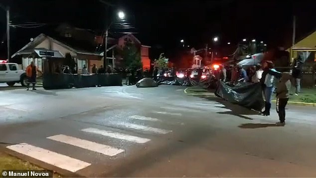 Huge elephant seal gets lost and blocks street: neighborhood …