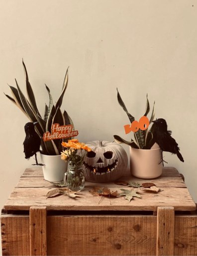 Zo maak je snel een eyecatcher voor Halloween