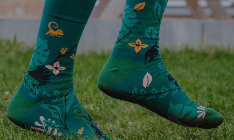TIPS. Kousen voor het goede doel, Sinterklaas in je eigen living