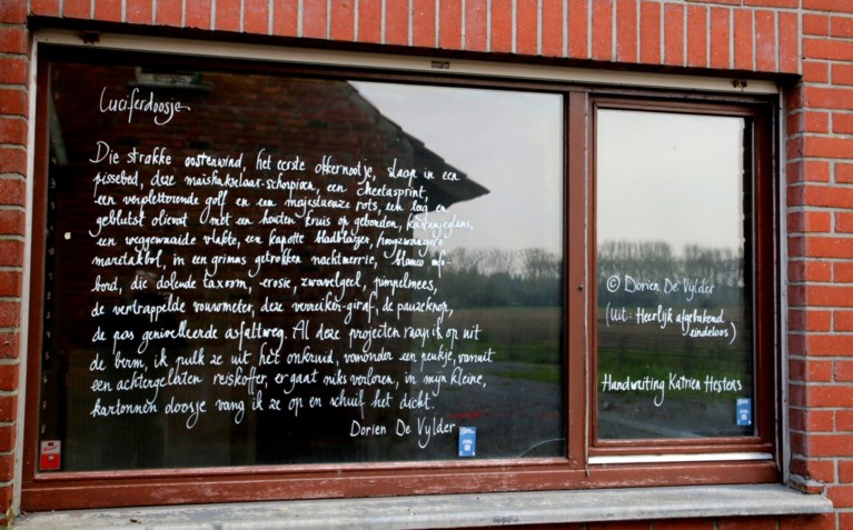 Publieksprijs Cultuurlaureaat is voor Dorien De Vylder: “Natuurlijk is poëzie populair, je mag het alleen niet zo noemen”