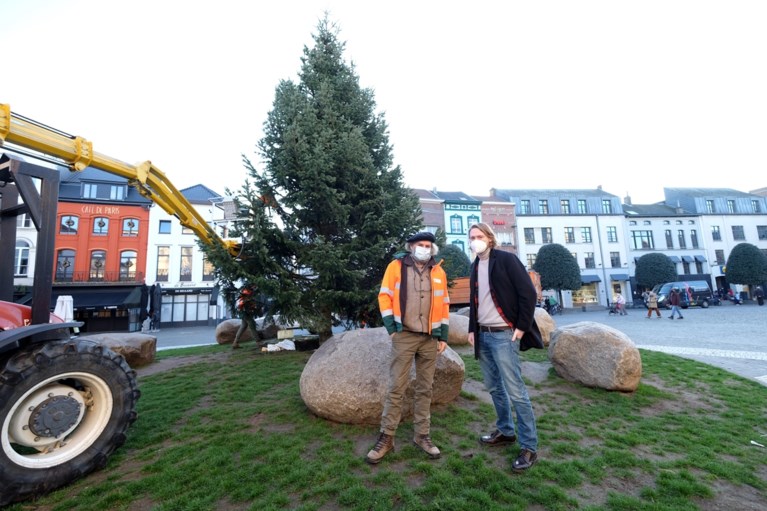 Kaukasische kerstboom van twaalf meter siert Grote Markt