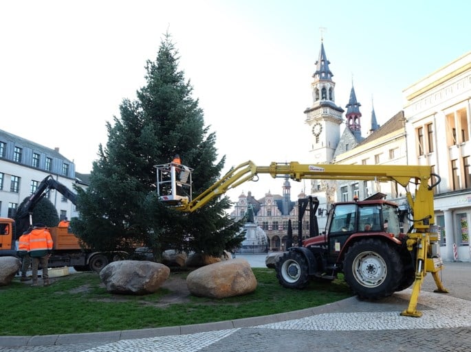 Kaukasische kerstboom van twaalf meter siert Grote Markt