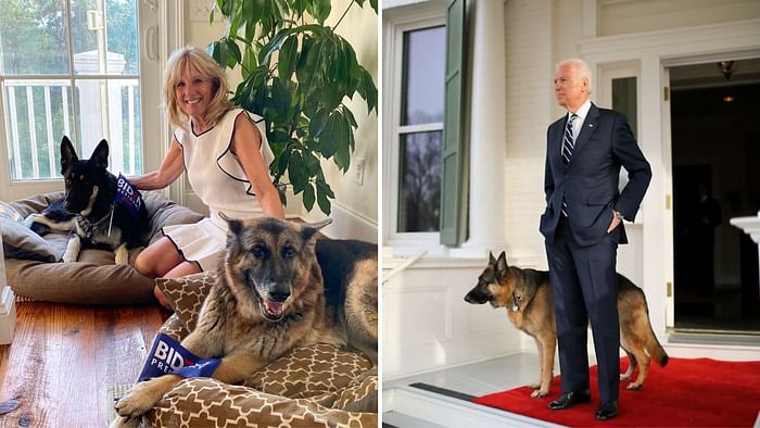 Biden Verstuikt Voet Tijdens Spelen Met Hond Trump Wenst He Het Nieuwsblad Mobile