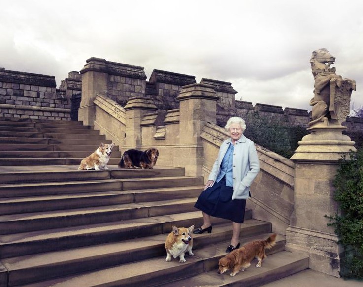 British Queen in mourning: another of her dogs died