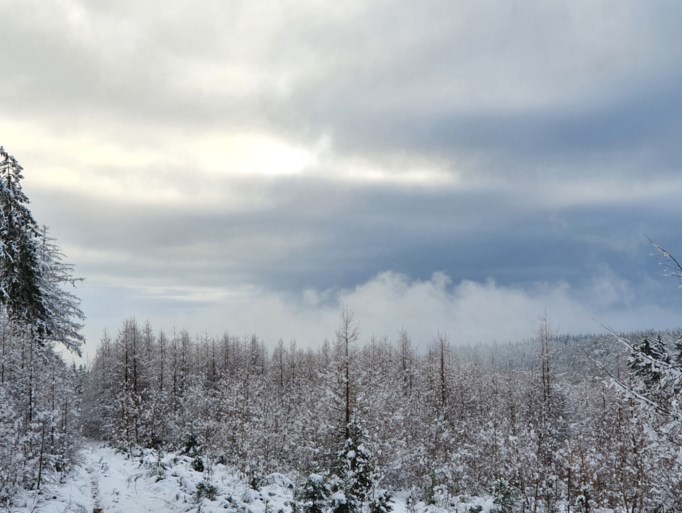 Veel sneeuw, maar ook dit weekend geen toeristen welkom in de Hoge Venen