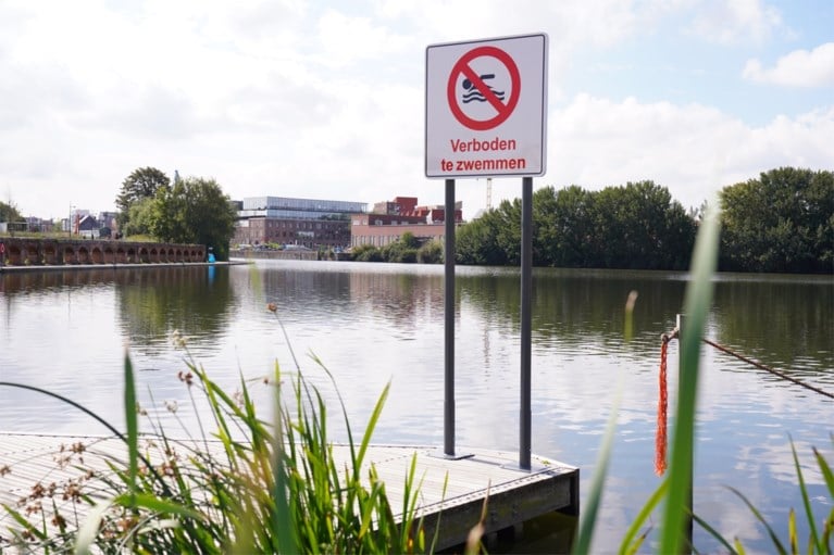 Zwemmen in het Houtdok blijft ook deze zomer verboden: water is te vervuild