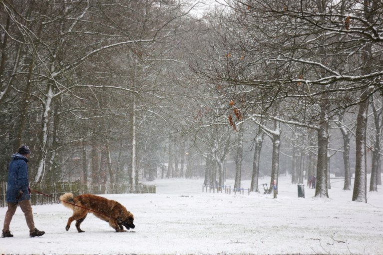 Eerste sneeuw is gevallen en meteen ook eerste ongevallen, Vlaams Verkeerscentrum waarschuwt voor gladde wegen