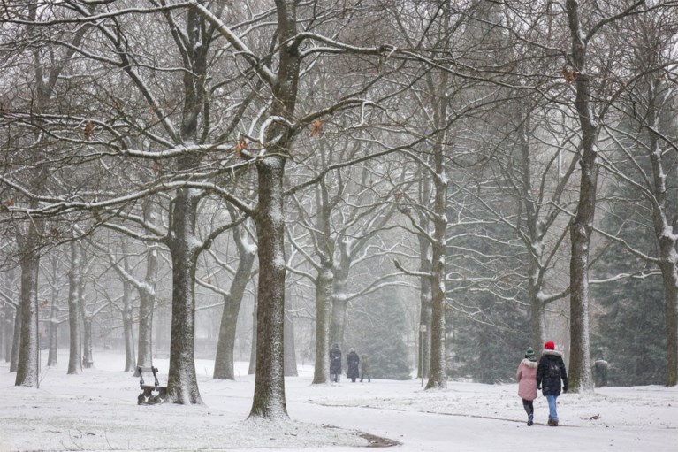 Eerste sneeuw is gevallen en meteen ook eerste ongevallen, Vlaams Verkeerscentrum waarschuwt voor gladde wegen