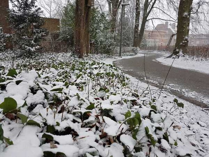 Eerste sneeuw is gevallen en meteen ook eerste ongevallen, Vlaams Verkeerscentrum waarschuwt voor gladde wegen
