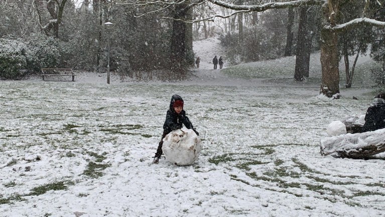 Eerste sneeuw is gevallen en meteen ook eerste ongevallen, Vlaams Verkeerscentrum waarschuwt voor gladde wegen