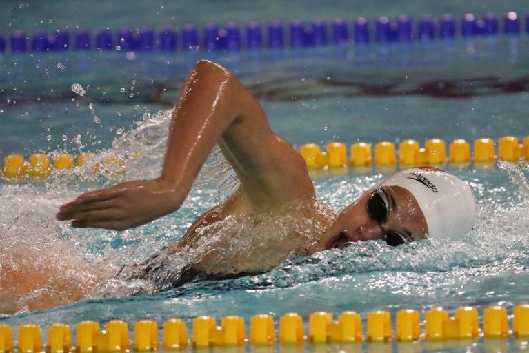 Olympisch jaar voor Belgische zwemmers start dit weekend in Antwerpen