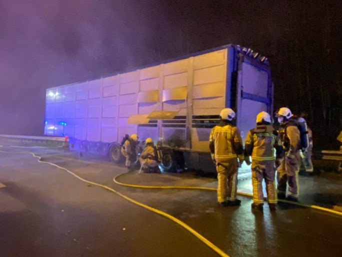 Varkens sterven in vrachtwagen die vuur vat op E19