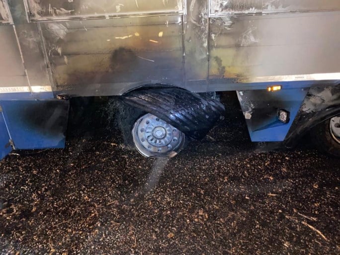 Varkens sterven in vrachtwagen die vuur vat op E19