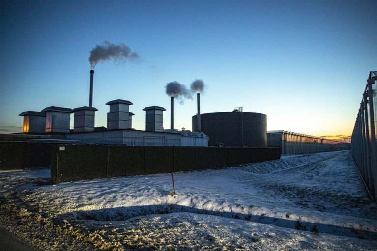 Zestien verdachten weer vrij, maar grote mestverwerker verzegeld na zwendel met biogas: onderzoek moet uitwijzen hoe groot schade voor volksgezondheid en milieu is