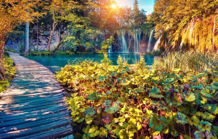Wegdromen mag: de mooiste nationale parken, volgens Tripadvisor