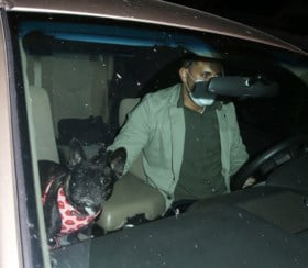 Nieuwe beelden tonen aanval op hondenuitlater Lady Gaga, twee Franse buldogs van popster ontvoerd