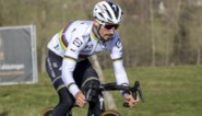 ONZE STERREN. Van Alaphilippe tot Naesen, dit zijn onze favorieten voor de Omloop Het Nieuwsbad