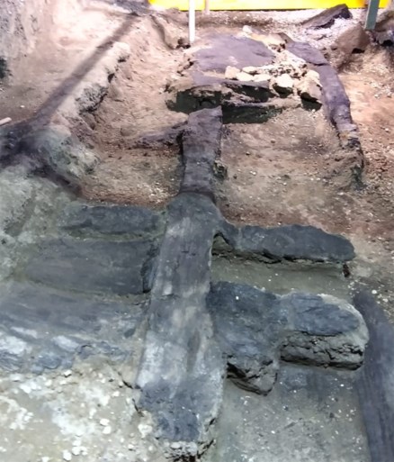 Triomfwagen met erotische afbeeldingen opgegraven in Pompeii