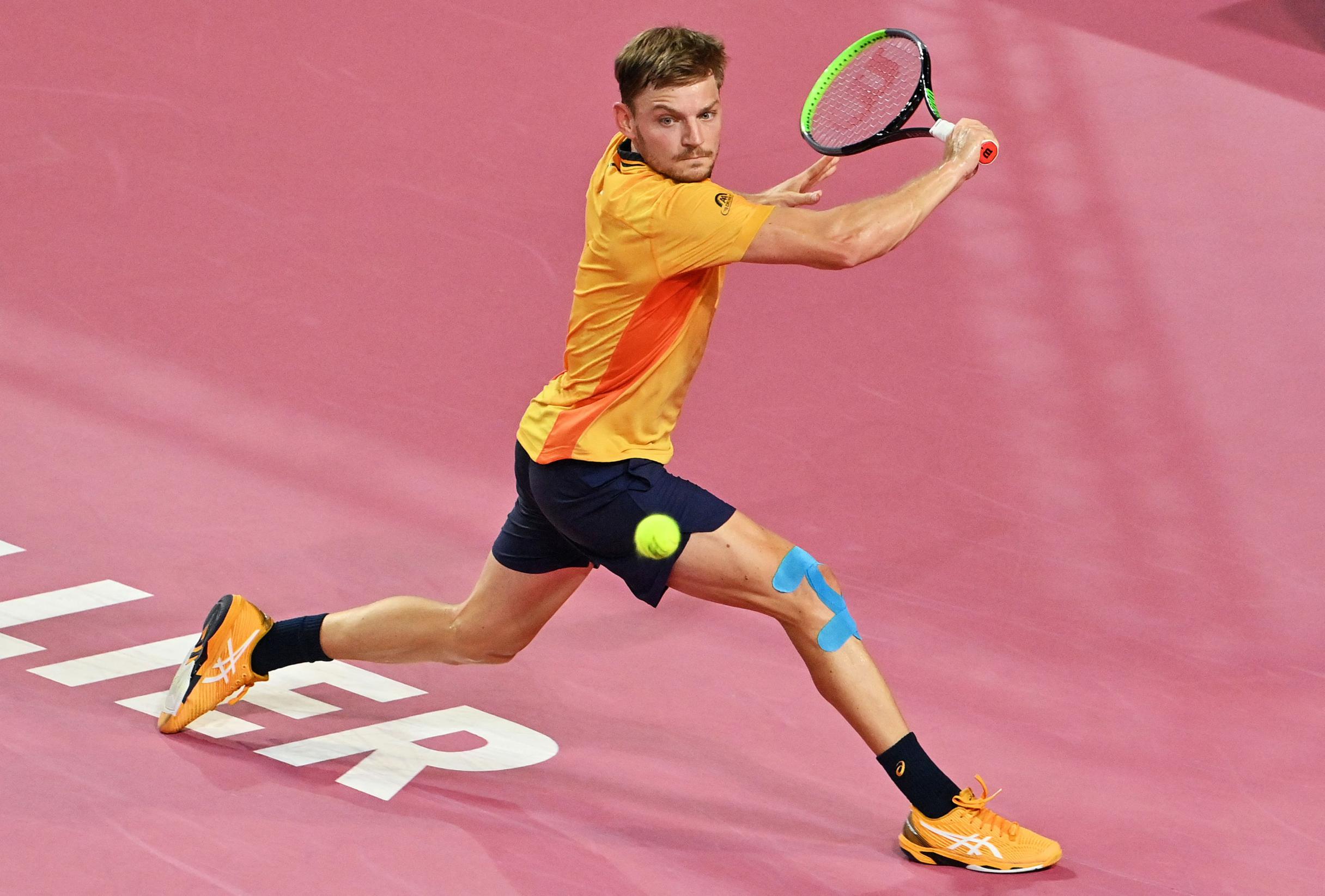 David Goffin stijgt een plek na titel in Montpellier, Elise Mertens moet er  eentje prijsgeven op wereldranglijst | Het Nieuwsblad Mobile