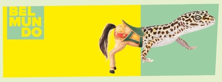 Blijven dromen met de cultuuragenda