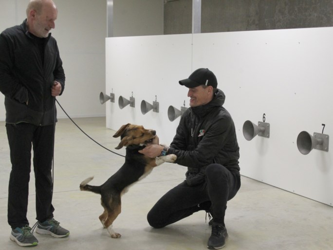 KV Oostende werkt mee aan proefproject met honden om Covid-19 op te sporen: “Soms acht dagen sneller dan PCR-test”