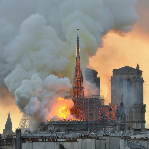 Eeuwenoude eiken die moeten sneuvelen voor vernielde Notre-Dame verdelen Frankrijk: “Ecologische moord”