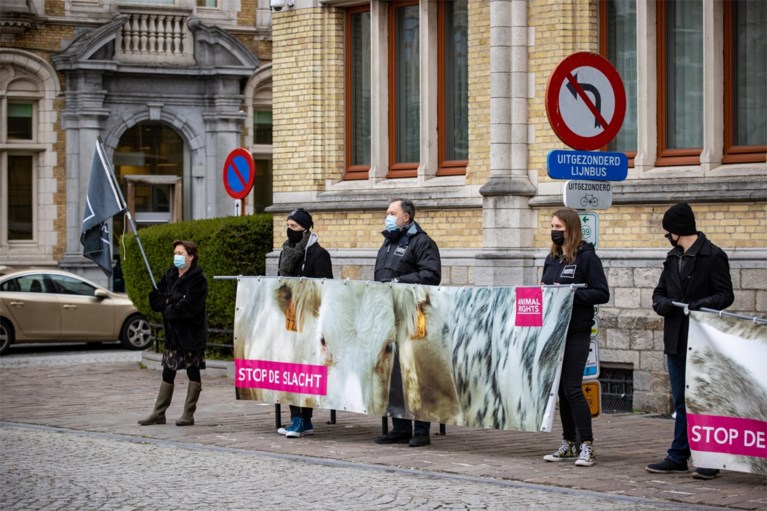 Slachthuis Verbist veroordeeld tot boete, undercoverbeelden Animal Rights nietig verklaard