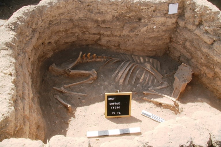 Egyptische archeologen ontdekken 3.000 jaar oude stad: “De op één na belangrijkste ontdekking sinds het graf van Toetanchamon”