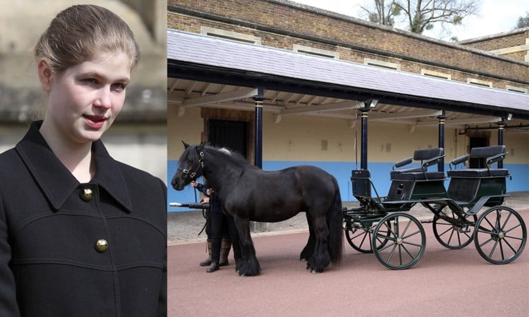 ROYALS. De Queen breekt met rouwtraditie, nieuw boek over jonge koningin Máxima