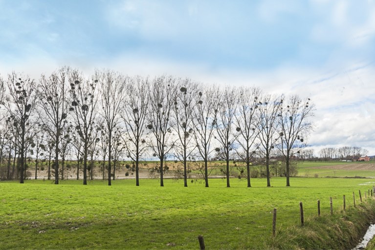 Temperaturen schieten de hoogte in dit weekend, maar er is een andere spelbreker voor de terrassen op komst