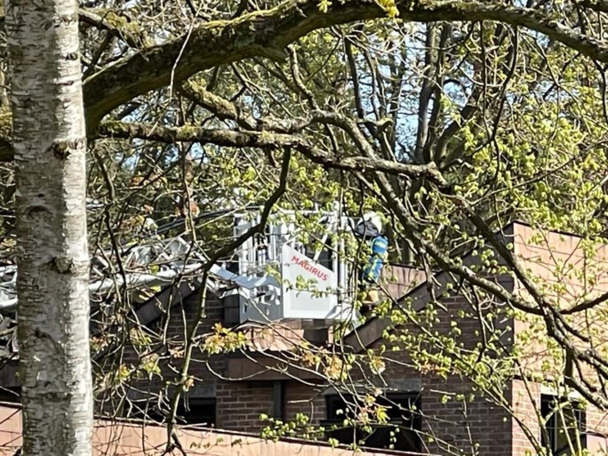 Hevige woningbrand in Brasschaat