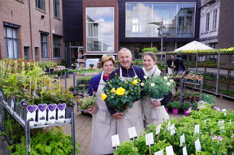 Op zoek naar een Gents plantje? Lokale plantenbeurs kampeert tien dagen in Meulestede