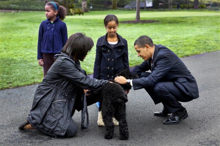 Familie-Obama rouwt om trouwe viervoeter: “Hij was exact wat we nodig hadden, en meer dan we ooit konden verwachten”
