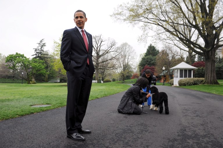 Familie-Obama rouwt om trouwe viervoeter: “Hij was exact wat we nodig hadden, en meer dan we ooit konden verwachten”