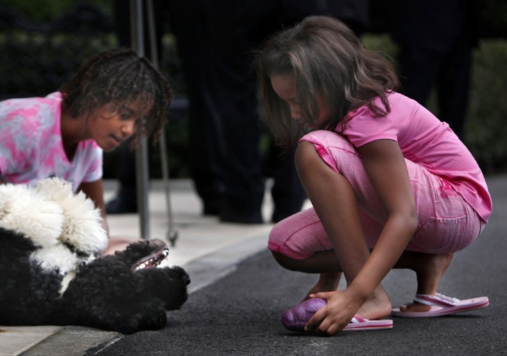 Familie-Obama rouwt om trouwe viervoeter: “Hij was exact wat we nodig hadden, en meer dan we ooit konden verwachten”