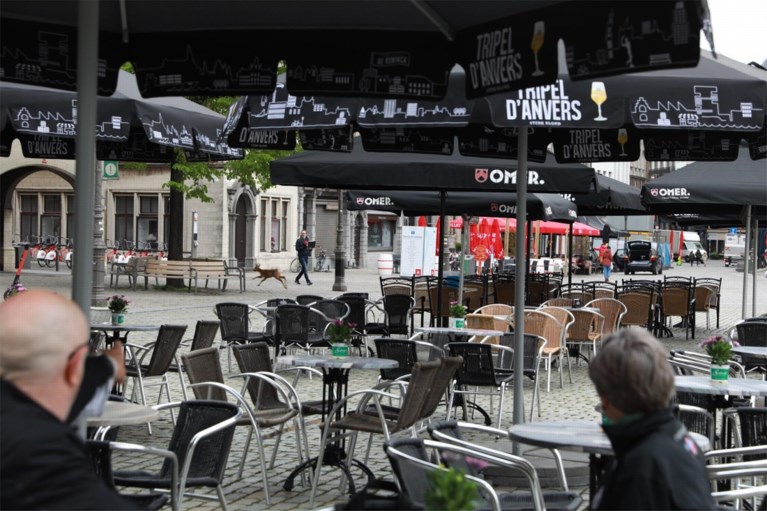 Ree huppelt plots op Antwerpse Grote Markt en zwemt later Schelde over
